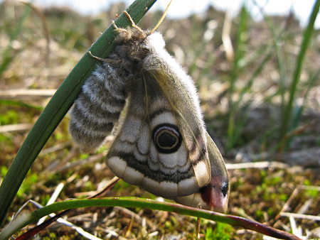 Fotograaf: Hermien Hendrikx