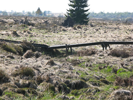 Fotograaf: Hermien Hendrikx