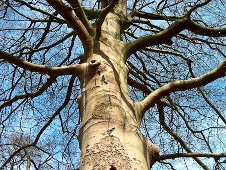 Fotograaf: John Roemen