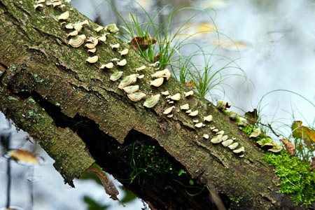 Fotograaf: John Roemen
