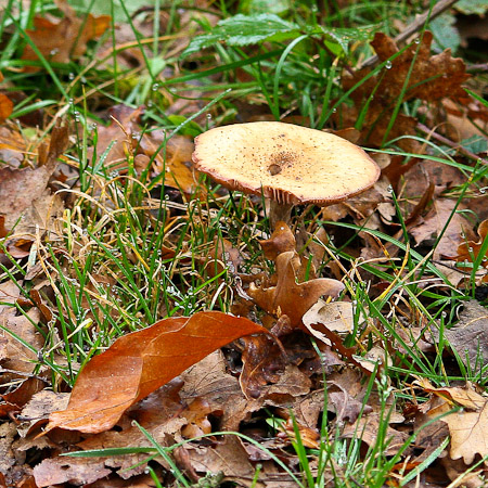 Fotograaf: John Roemen