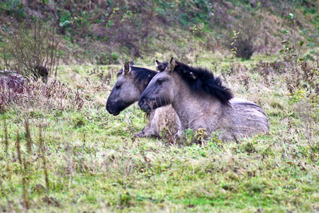 Fotograaf: John Roemen
