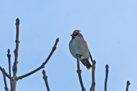 Fotograaf: John Roemen