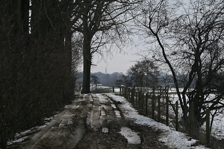 Fotograaf: John Roemen