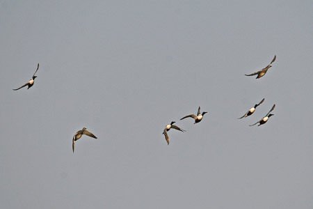 Fotograaf: John Roemen