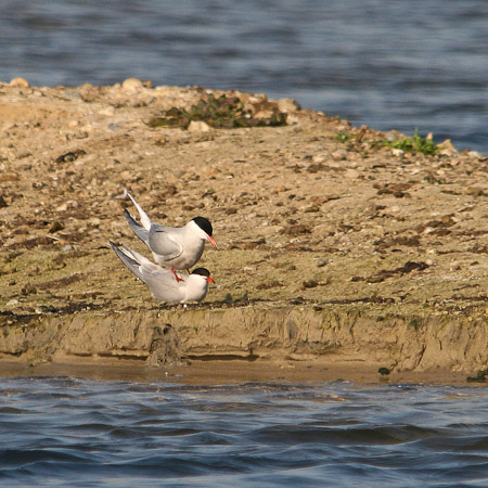 Fotograaf: John Roemen