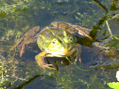Fotograaf: Astrid Janissen