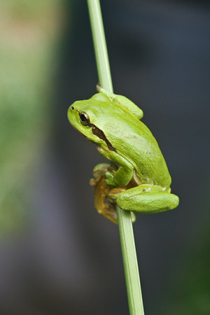 Fotograaf: John Roemen
