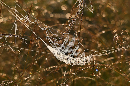 Fotograaf: John Roemen