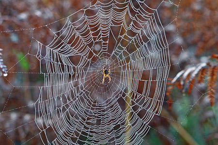 Fotograaf: John Roemen
