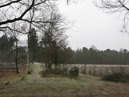 Fotograaf: Hermien Hendrikx