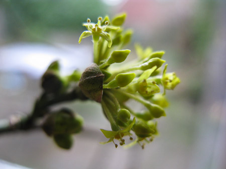 Fotograaf: Hermien Hendrikx