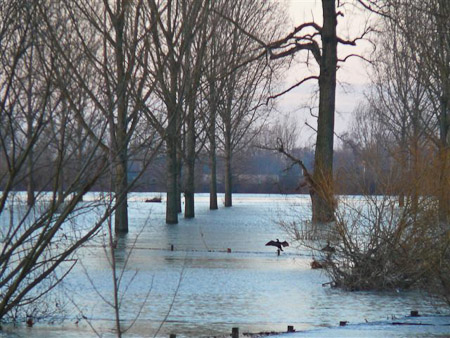 Fotograaf: René Dittrich