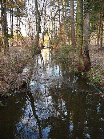 Fotograaf: René Dittrich