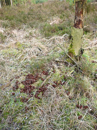 Fotograaf: René Dittrich