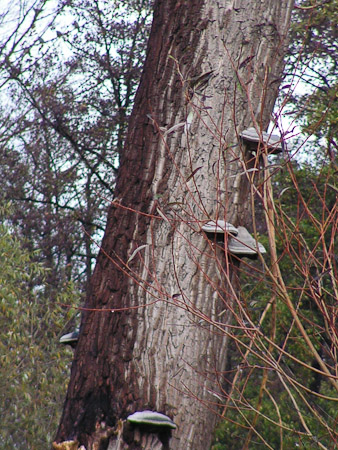 Fotograaf: Rikie Verhagen