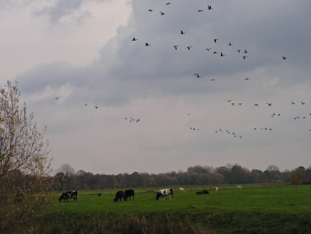 Fotograaf: Rikie Verhagen