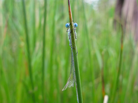 Fotograaf: Hermien Hendrikx