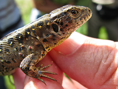 Fotograaf: Hermien Hendrikx