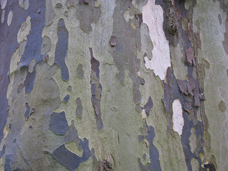 Fotograaf: Hermien Hendrikx