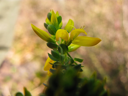 Fotograaf: Hermien Hendrikx