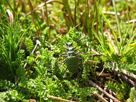 Fotograaf: Hermien Hendrikx