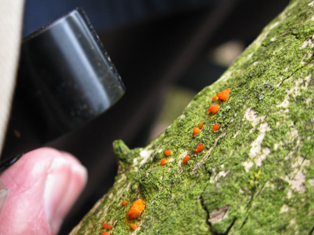 Fotograaf: Hermien Hendrikx