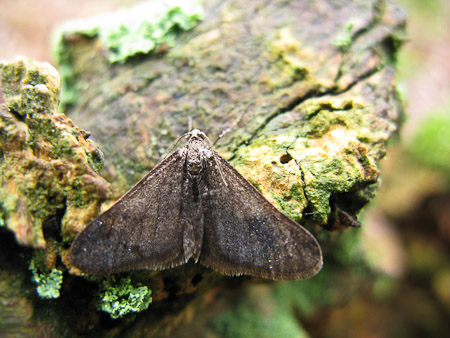 Fotograaf: Hermien Hendrikx