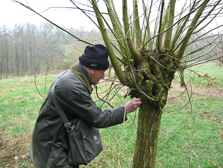 Fotograaf: Hermien Hendrikx