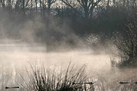 Fotograaf: John Roemen