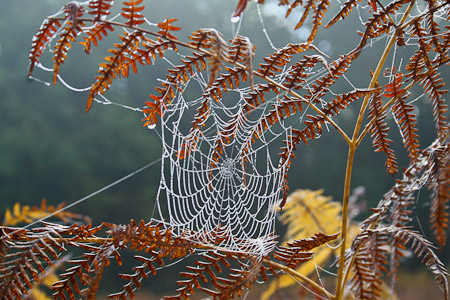 Fotograaf: John Roemen