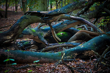 Fotograaf: Ruud Snijders