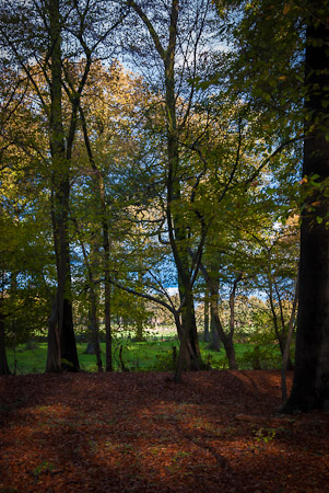 Fotograaf: Ruud Snijders