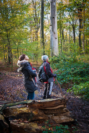 Fotograaf: Ruud Snijders