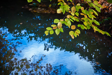 Fotograaf: Ruud Snijders