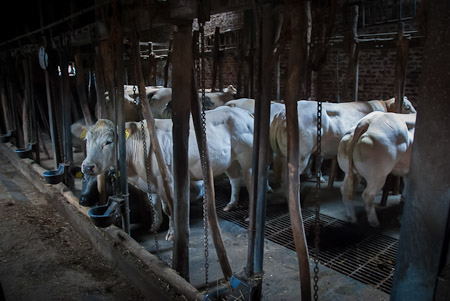 Fotograaf: Ruud Snijders