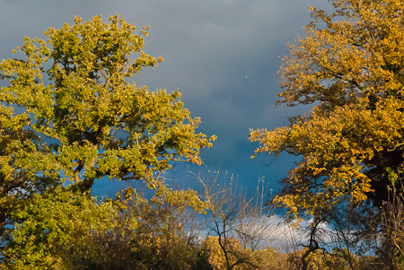 Fotograaf: Ruud Snijders