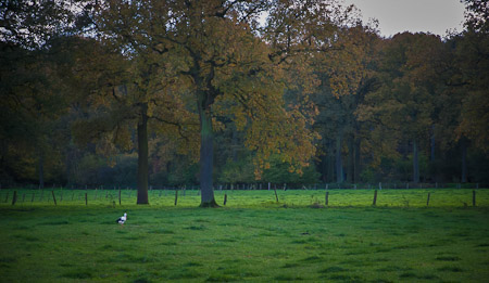 Fotograaf: Ruud Snijders