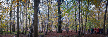 Fotograaf: Ruud Snijders