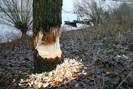 Fotograaf: John Roemen