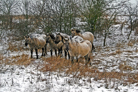 Fotograaf: John Roemen