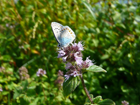 Fotograaf: Astrid Janissen