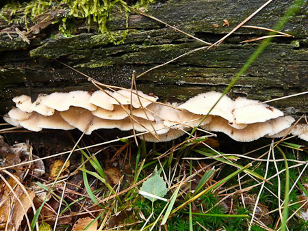 Fotograaf: Astrid Janissen