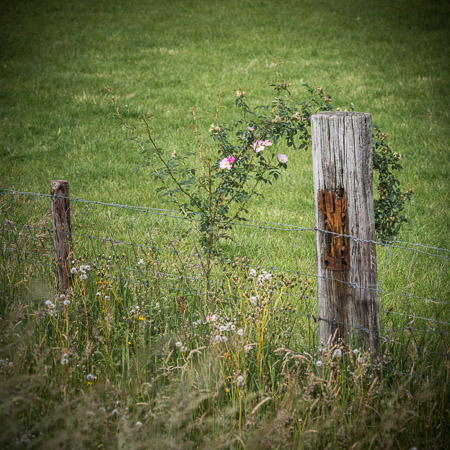 Fotograaf: Ruud Snijders