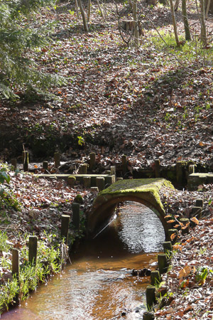 Fotograaf: Astrid Janissen