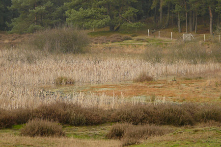 Fotograaf: Astrid Janissen