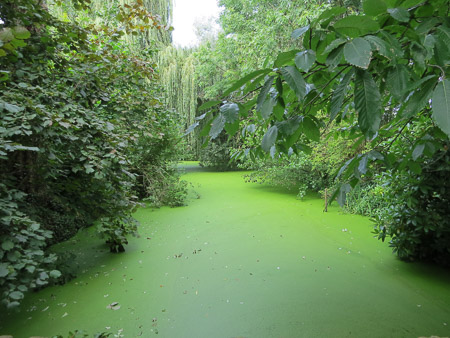 Fotograaf: They van Haeff